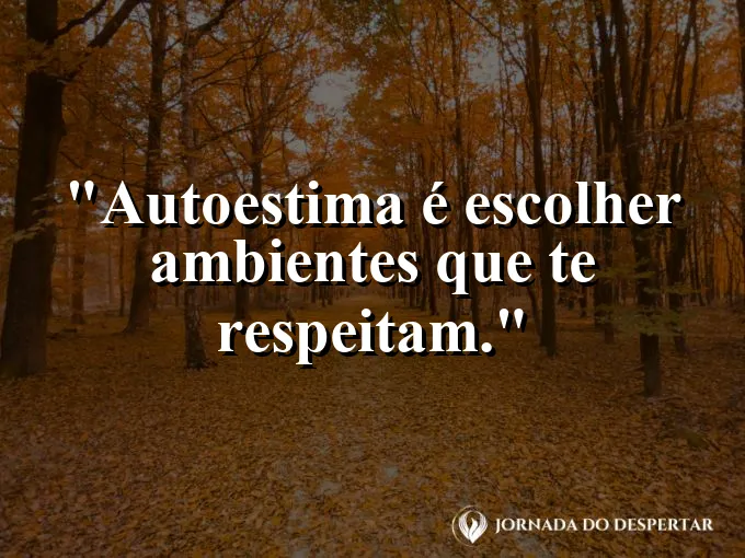 Frase sobre autoconhecimento e autoestima: Autoestima é escolher ambientes que te respeitam.