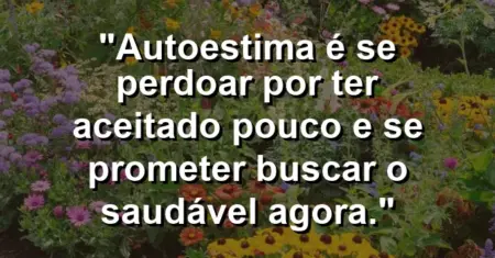 Autoestima é se perdoar por ter aceitado pouco e se prometer buscar o saudável agora.