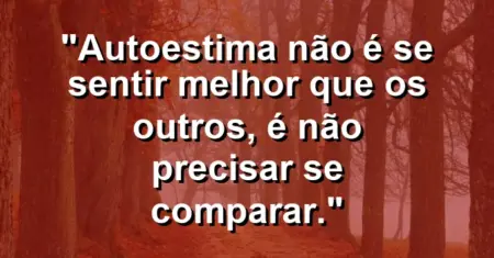 Autoestima não é se sentir melhor que os outros, é não precisar se comparar.