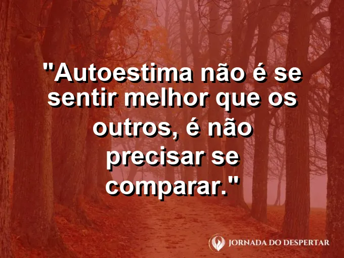 Grupo de flores de diferentes espécies em um jardim.