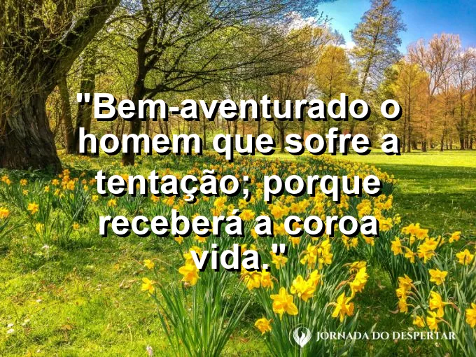 Coroa de louros dourada brilhando intensamente com frase sobre a bem-aventurança de quem vence a prova.