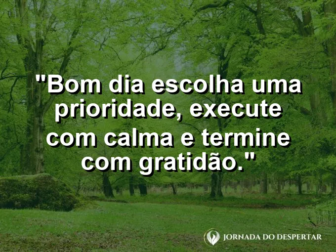 Mensagens de Bom Dia para Começar Sua Jornada com Muita Luz: Bom dia: escolha uma prioridade, execute com calma e termine com gratidão.