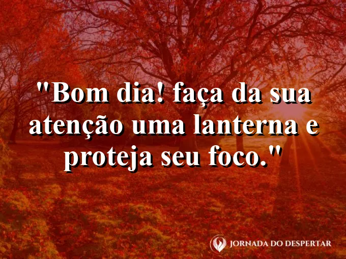 Imagem com a frase: Bom dia! Faça da sua atenção uma lanterna e proteja seu foco.