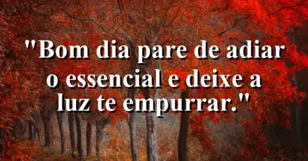 “Bom dia: pare de adiar o essencial e deixe a luz te empurrar.”