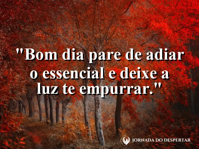 Mensagens de Bom Dia para Começar Sua Jornada com Muita Luz: Bom dia: pare de adiar o essencial e deixe a luz te empurrar.