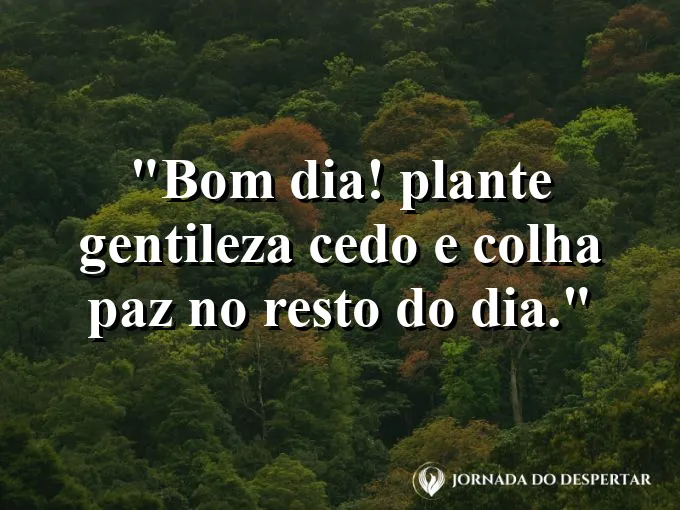 Imagem com a frase: Bom dia! Plante gentileza cedo e colha paz no resto do dia.