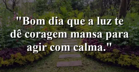 “Bom dia: que a luz te dê coragem mansa para agir com calma.”