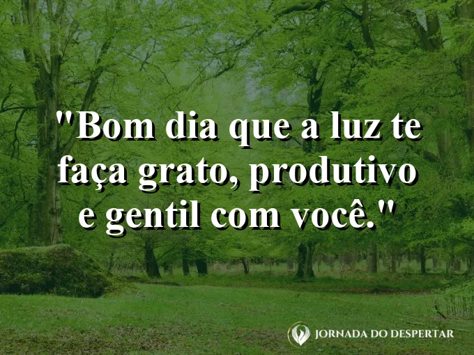 Mensagens de Bom Dia para Começar Sua Jornada com Muita Luz: Bom dia: que a luz te faça grato, produtivo e gentil com você.