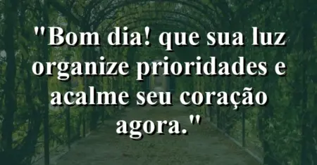 “Bom dia! Que sua luz organize prioridades e acalme seu coração agora.”