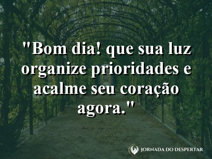 Mensagens de Bom Dia para Começar Sua Jornada com Muita Luz: Bom dia! Que sua luz organize prioridades e acalme seu coração agora.