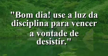 “Bom dia! Use a luz da disciplina para vencer a vontade de desistir.”