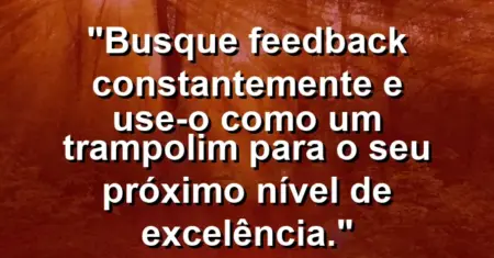 “Busque feedback constantemente e use-o como um trampolim para o seu próximo nível de excelência.”