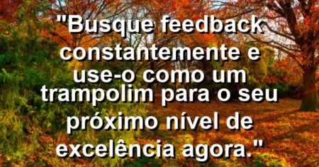 “Busque feedback constantemente e use-o como um trampolim para o seu próximo nível de excelência agora.”