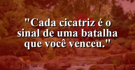 Cada cicatriz é o sinal de uma batalha que você venceu.