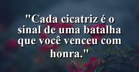 Cada cicatriz é o sinal de uma batalha que você venceu com honra.