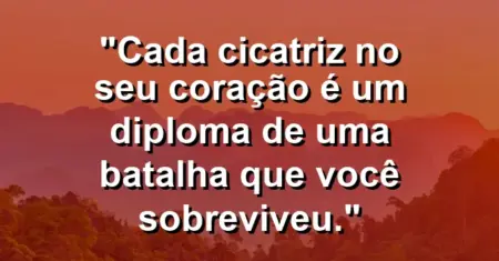 Cada cicatriz no seu coração é um diploma de uma batalha que você sobreviveu.