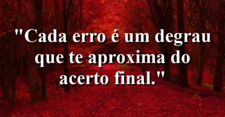 Cada erro é um degrau que te aproxima do acerto final.