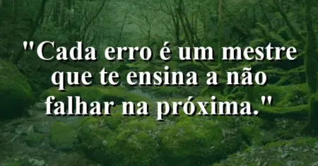 Cada erro é um mestre que te ensina a não falhar na próxima.