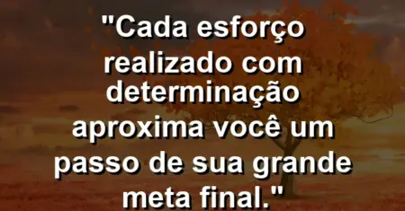 “Cada esforço realizado com determinação aproxima você um passo de sua grande meta final.”