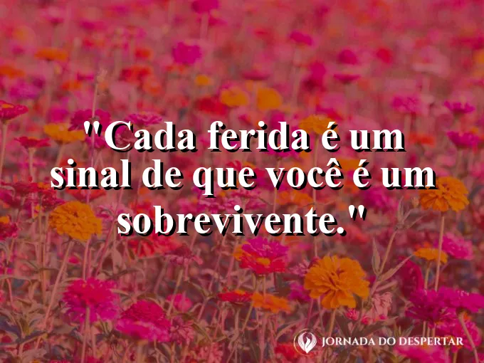 Uma rocha antiga com marcas de erosão mas firme no lugar.