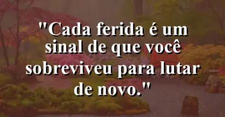 Cada ferida é um sinal de que você sobreviveu para lutar de novo.