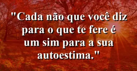 Cada ‘não’ que você diz para o que te fere é um ‘sim’ para a sua autoestima.