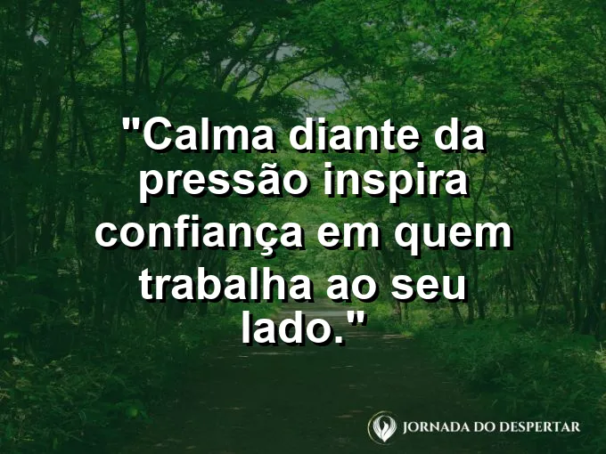 Imagem com frase sobre inspirar confiança com serenidade no trabalho.