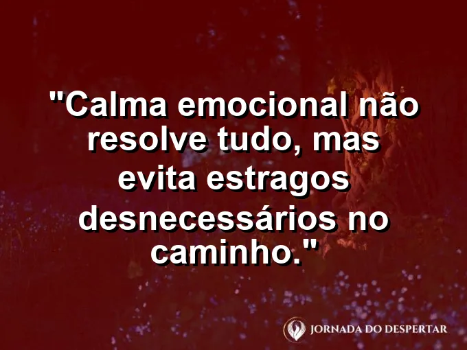 Imagem com frase sobre evitar estragos com equilíbrio emocional.