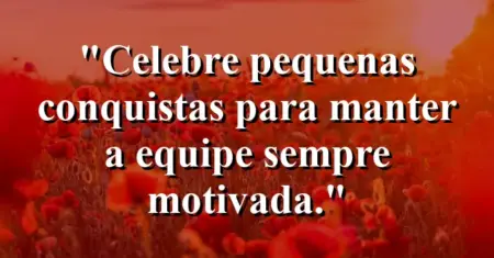 “Celebre pequenas conquistas para manter a equipe sempre motivada.”