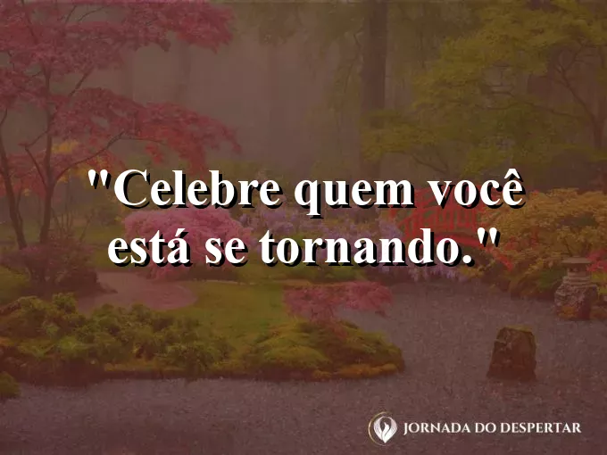 Fogos de artifício discretos sob um céu estrelado com frase de celebração.