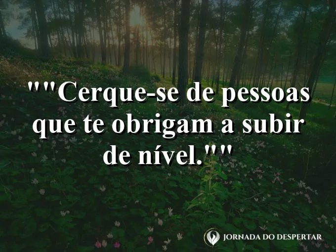 Grupo de montanhistas ajudando uns aos outros a subir.