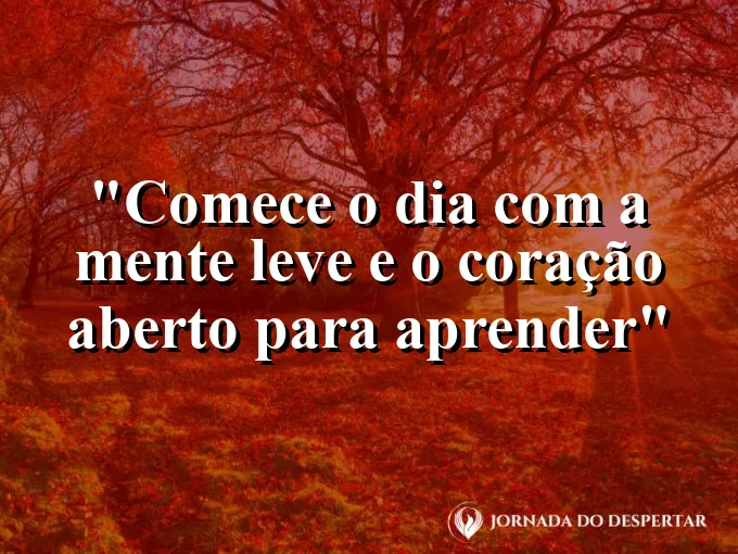 bom-dia-mente-leve-coracao-aberto-aprender