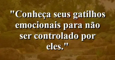 “Conheça seus gatilhos emocionais para não ser controlado por eles.”