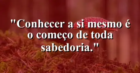 Conhecer a si mesmo é o começo de toda sabedoria.