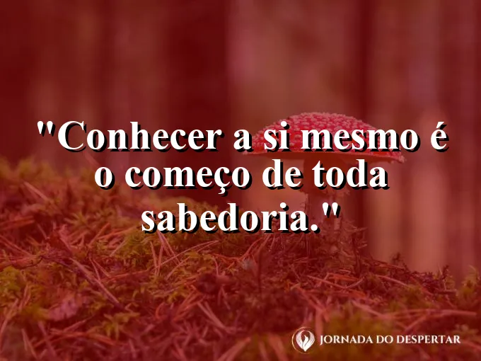 Imagem com fundo sereno e a frase: Conhecer a si mesmo é o começo de toda sabedoria.