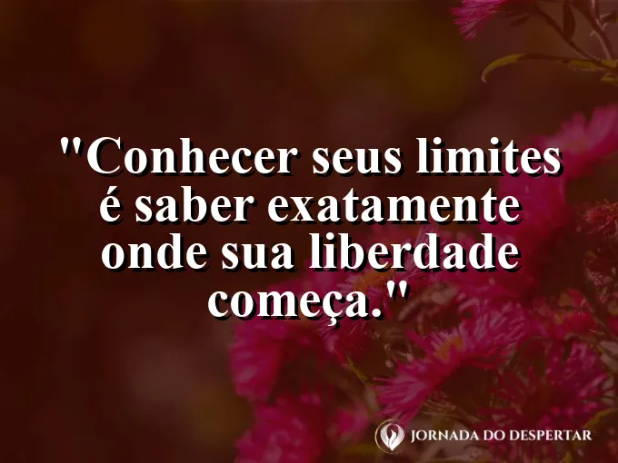 Pássaro saindo de uma gaiola aberta voando para o pôr do sol.