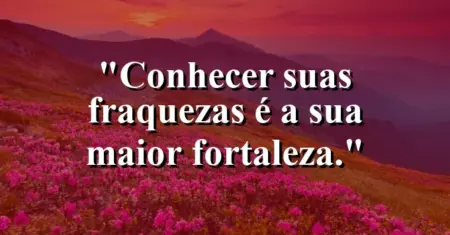 Conhecer suas fraquezas é a sua maior fortaleza.