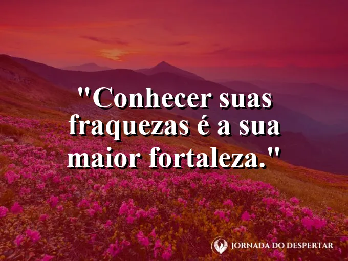 Armadura de cavaleiro com uma pequena flor saindo pela fresta do elmo.