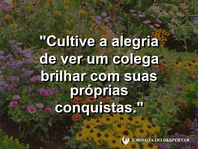 Frase sobre conquistas: Cultive a alegria de ver um colega brilhar com suas próprias conquistas.