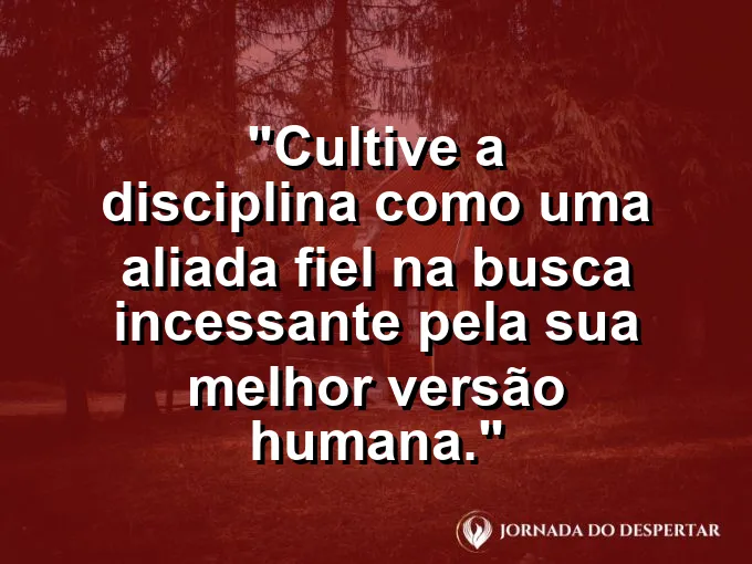 Escultura de mármore sendo lapidada com frase sobre disciplina e melhor versão.