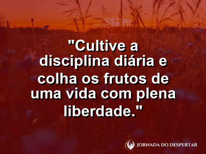 Mãos segurando frutos maduros sob o sol com frase sobre disciplina e liberdade.