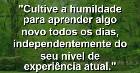 “Cultive a humildade para aprender algo novo todos os dias, independentemente do seu nível de experiência atual.”