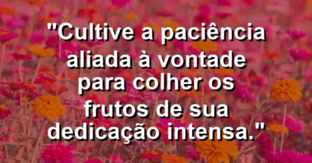 “Cultive a paciência aliada à vontade para colher os frutos de sua dedicação intensa.”