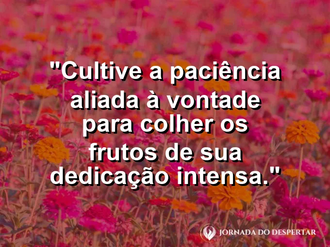 Semente brotando da terra com gotas de água e frase sobre paciência e vontade.