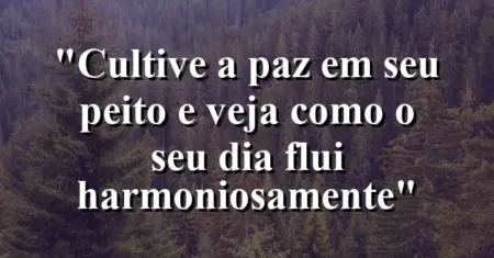 “Cultive a paz em seu peito e veja como o seu dia flui harmoniosamente”