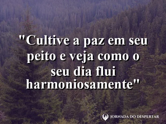 Superfície de um lago perfeitamente espelhado refletindo o céu azul claro durante o amanhecer de hoje.