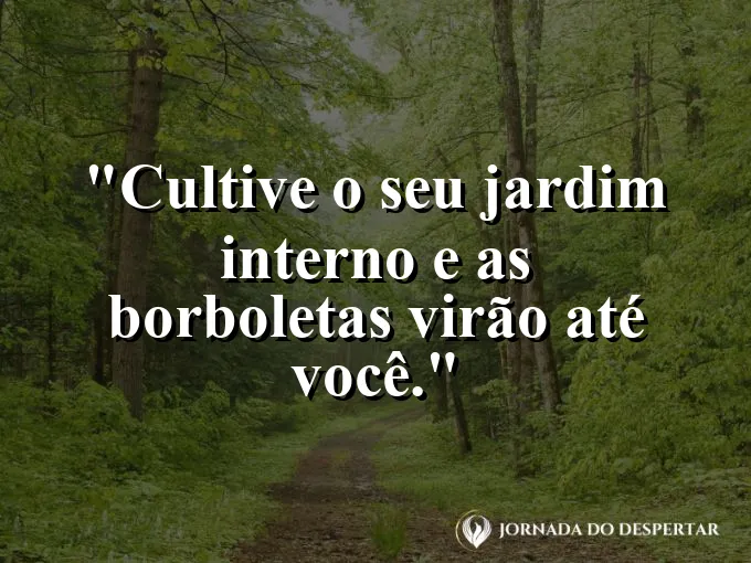 Jardim florido com luz solar atravessando as pétalas.