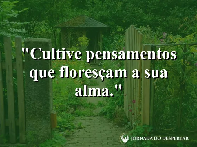 Flores coloridas desabrochando em um jardim bem cuidado.