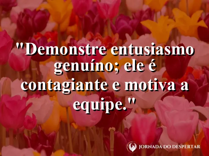 Frase sobre entusiasmo: Demonstre entusiasmo genuíno; ele é contagiante e motiva a equipe.