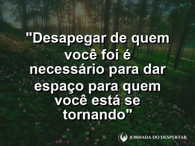 ATRIBUTO ALT DA IMAGEM COM A FRASE: Folhas de outono caindo de uma árvore para dar lugar aos novos brotos que virão na primavera.